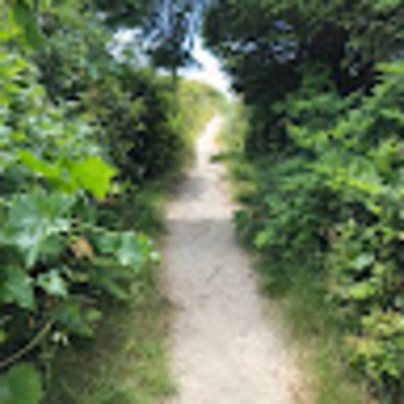oliver_trails